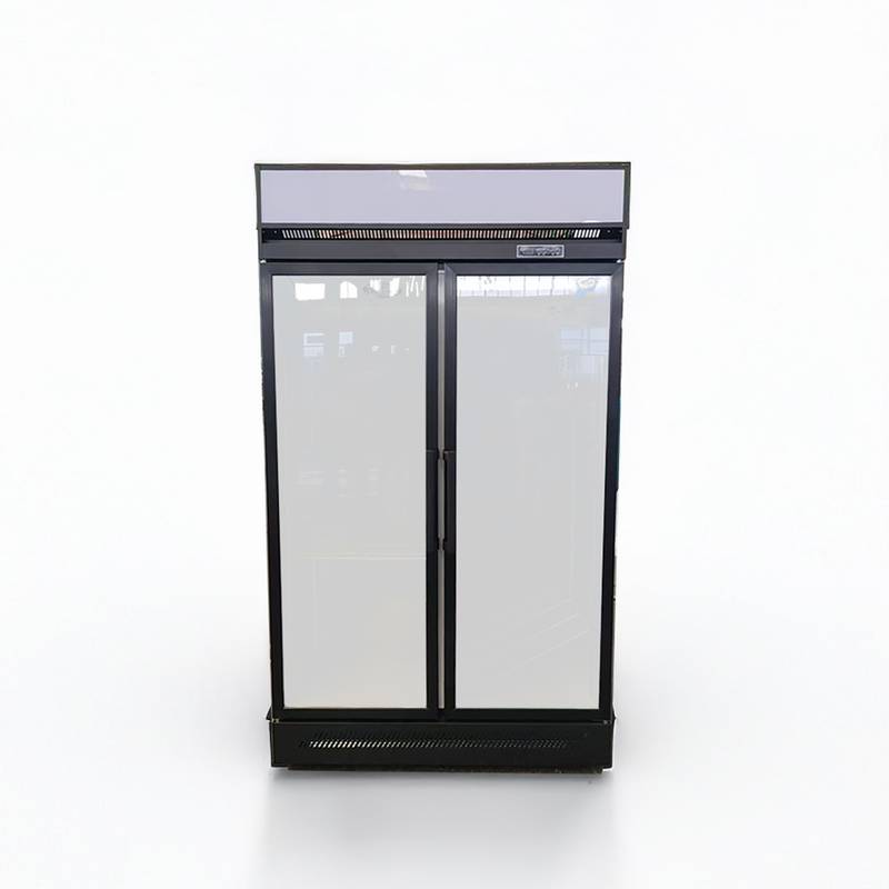 SL02 Commercial beverage cooler product image which is 2 door